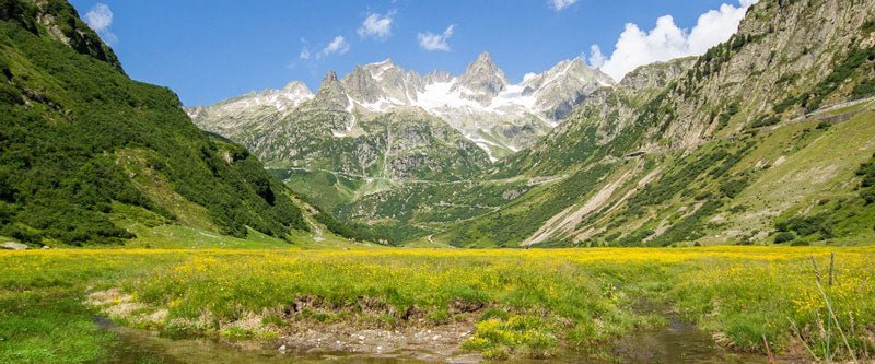 Schweizer Berghilfe - Con il caseificio comunitario, gli alpeggi di Uri hanno un futuro