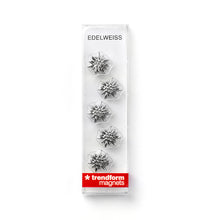 Load image into Gallery viewer, Edelweiss magnet silver
