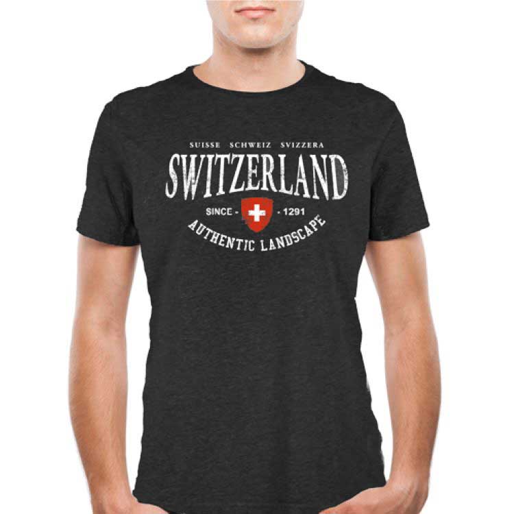 SWITZERLAND AUTHENTIC LANDSCAPE